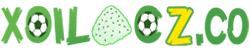 trận dortmund